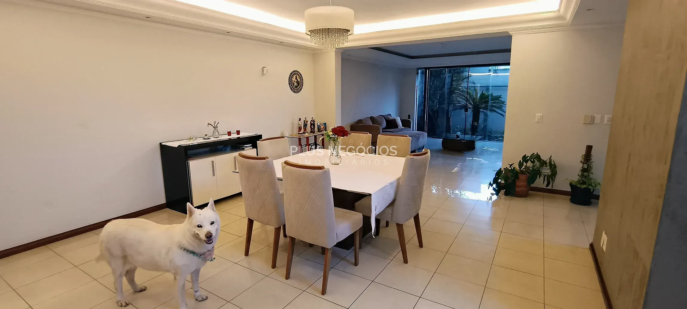 Casa, 4 quartos, 660 m² - Foto 30