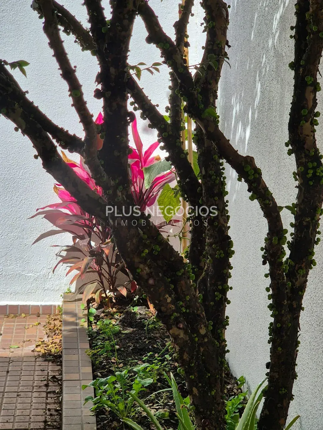 Casa, 3 quartos, 135 m² - Foto 18