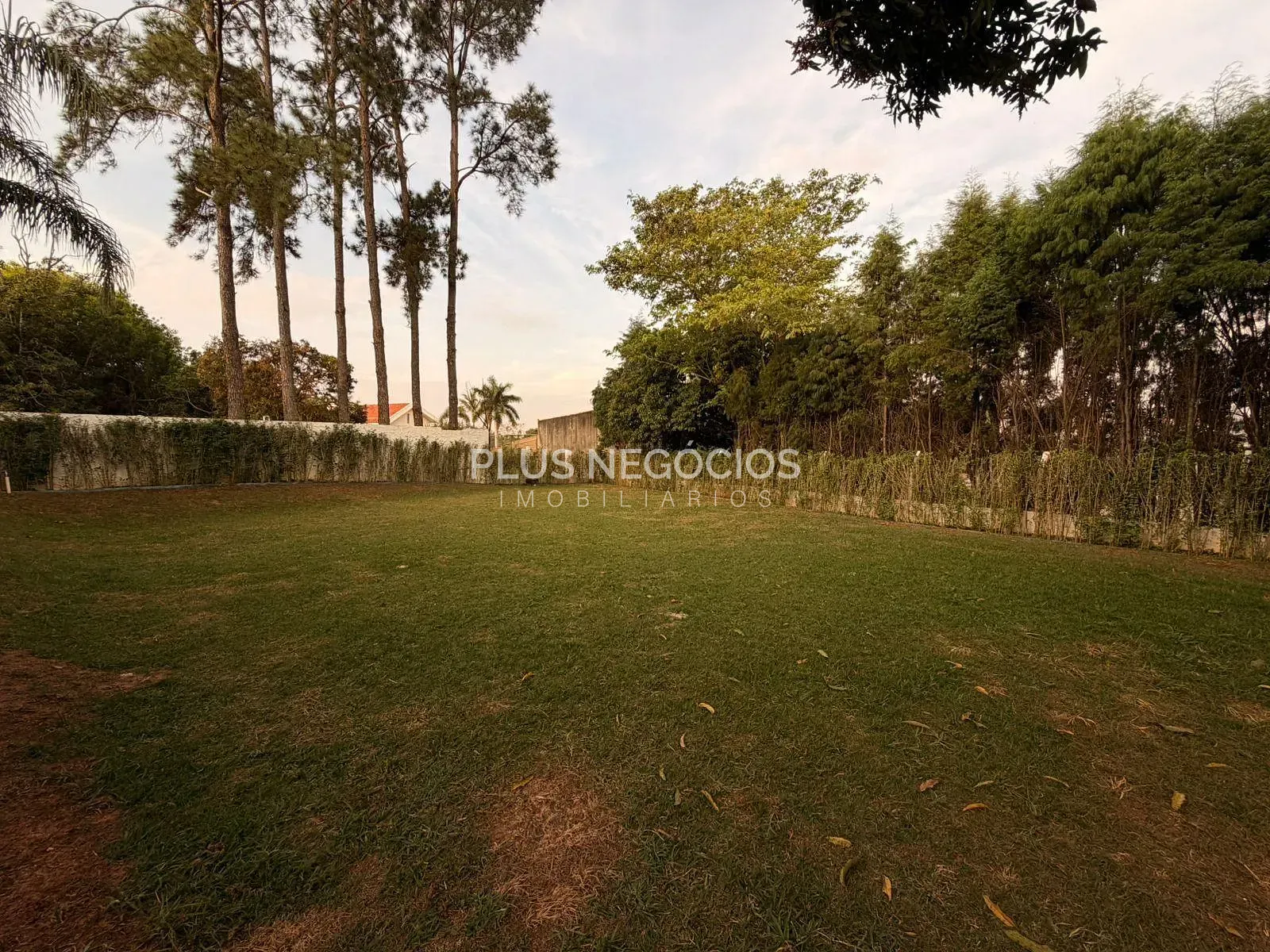 Casa, 5 quartos, 574 m² - Foto 53