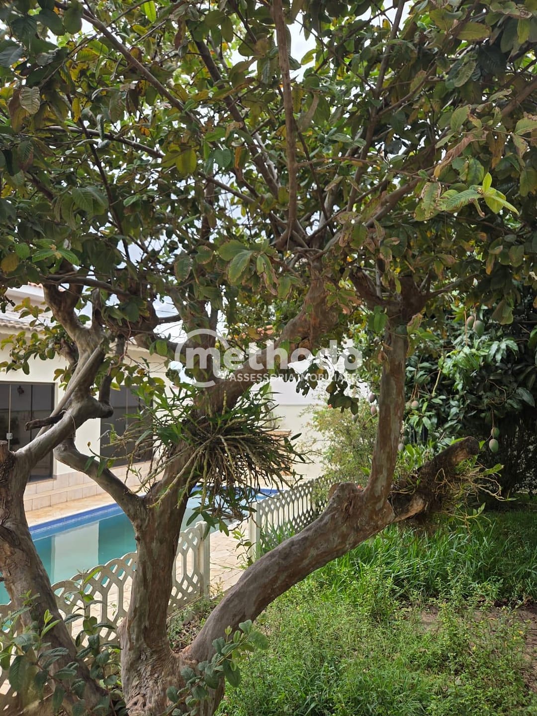 Casa, 5 quartos, 480 m² - Foto 52