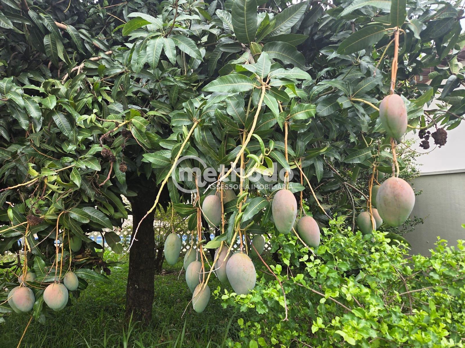 Casa, 5 quartos, 480 m² - Foto 51