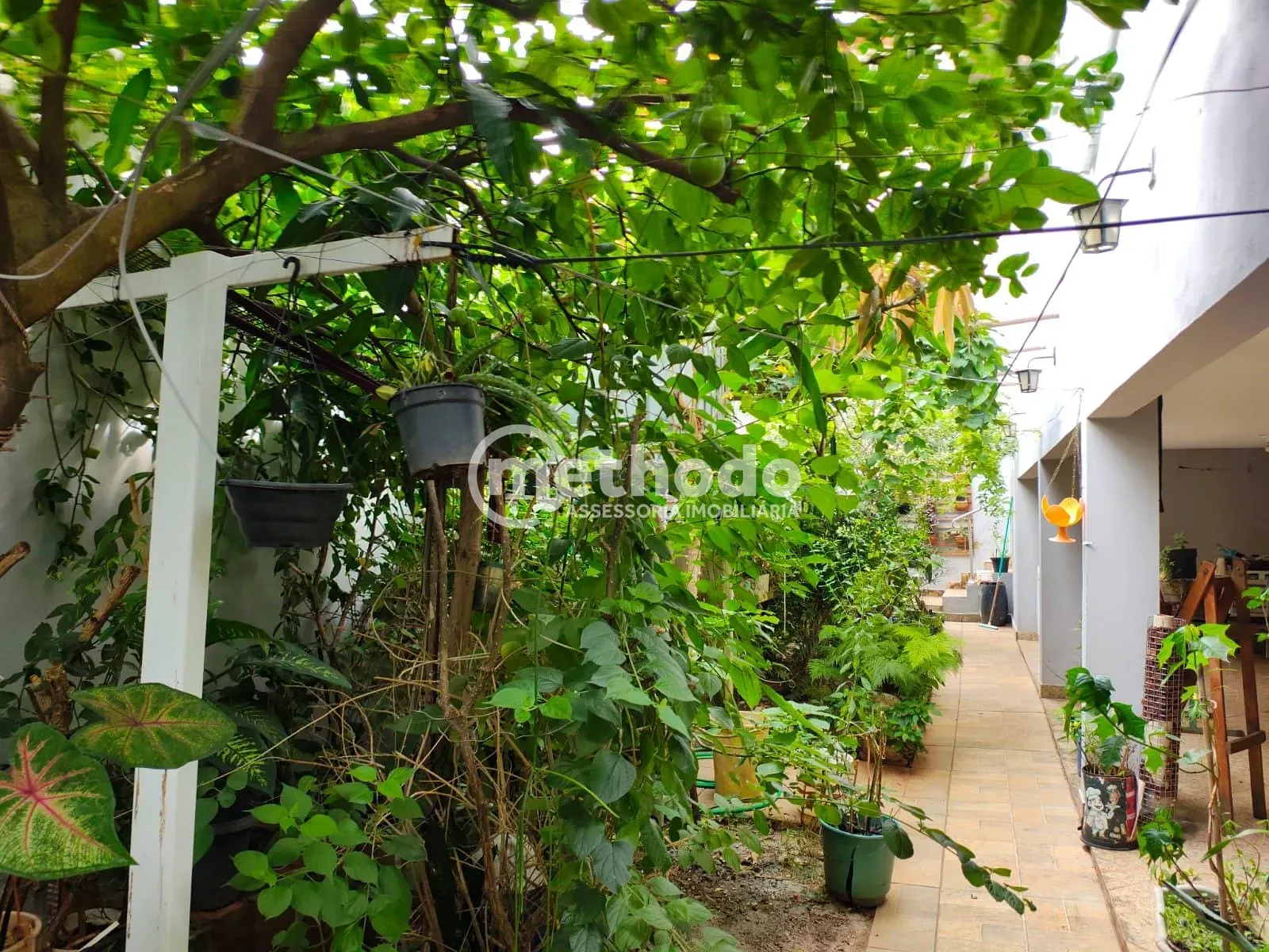 Casa, 3 quartos, 323 m² - Foto 4
