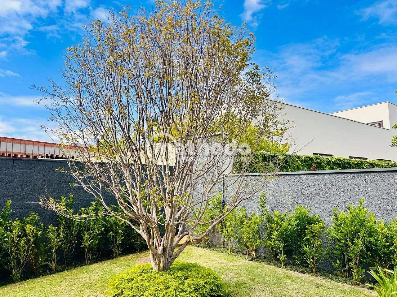 Casa, 5 quartos, 558 m² - Foto 72