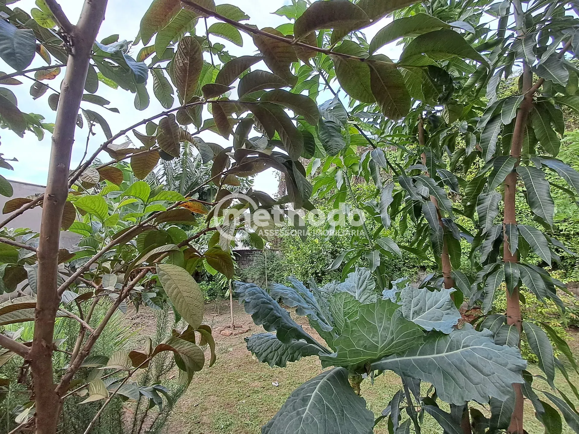 Casa, 4 quartos, 182 m² - Foto 28