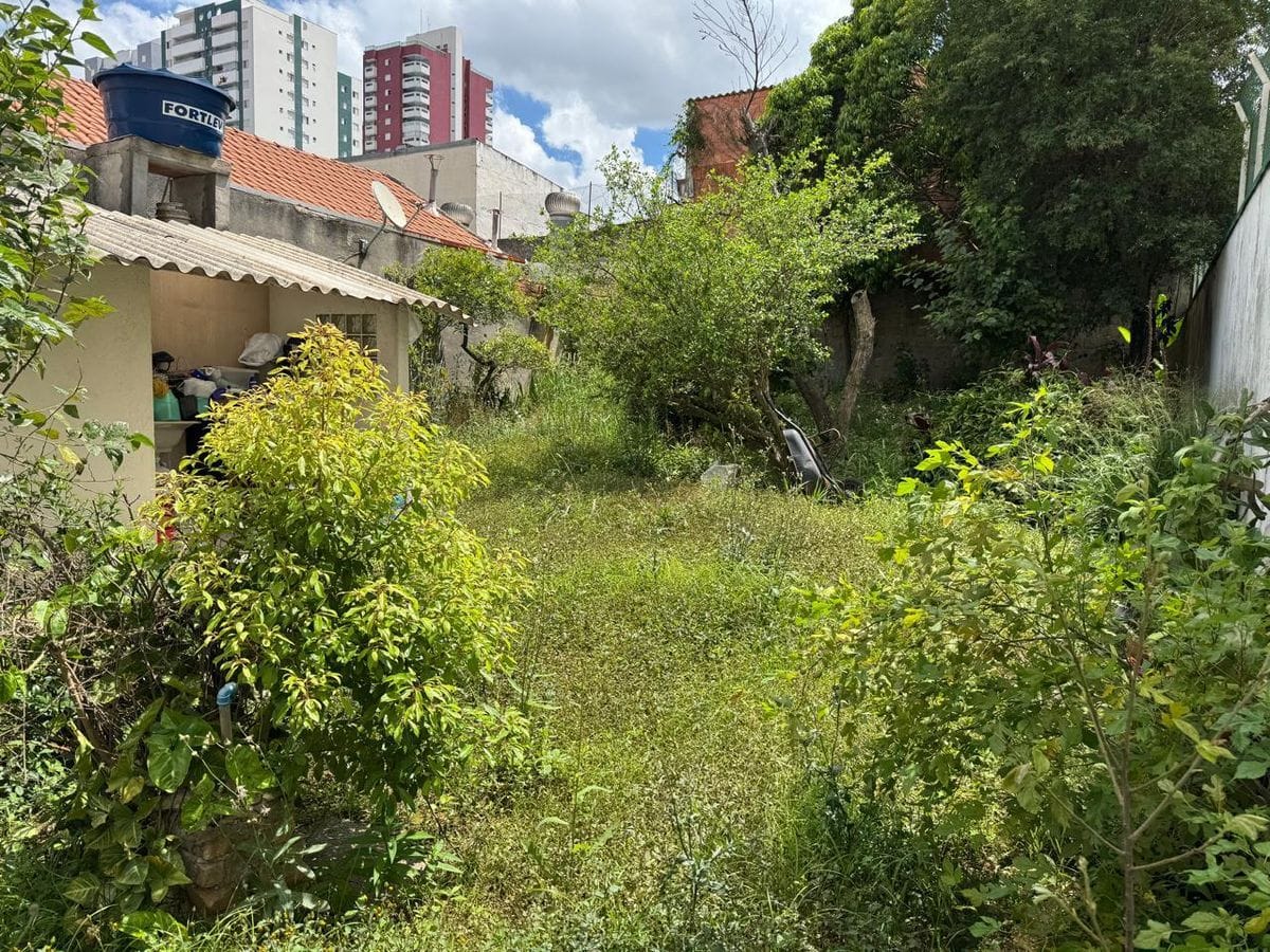 Casas em terreno Grande