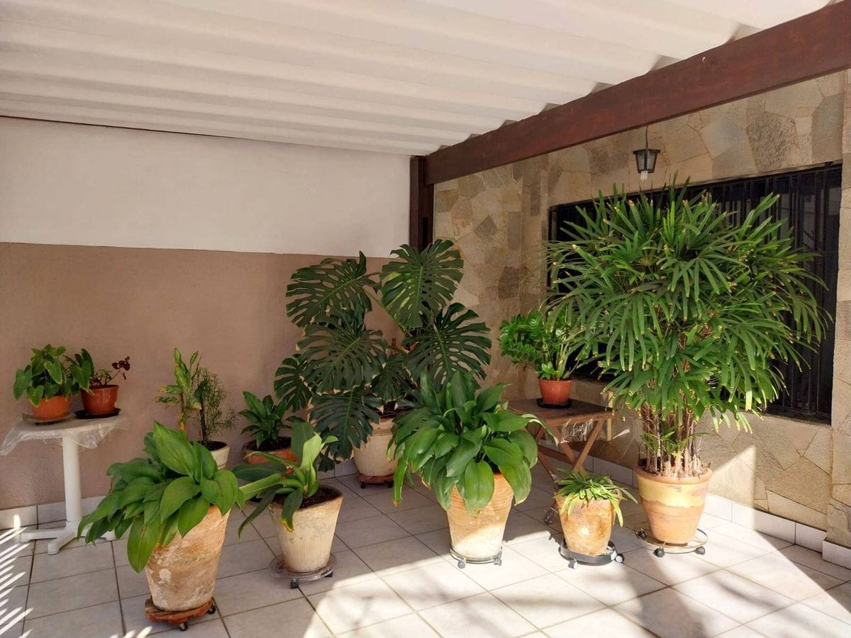 Casa com 3 quartos, Anchieta - São Bernardo do Campo