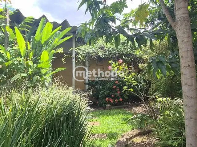 Casa com 1305m² 5 quartos e 8 banheiros, para alugar, no bairro Jardim São Carlos em Campinas