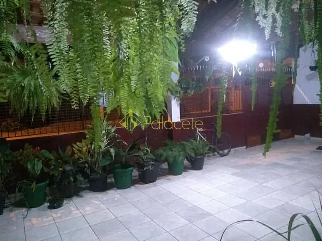 Casa com 300m² 4 quartos e 2 banheiros, à venda, no bairro Parque São Domingos em Pindamonhangaba
