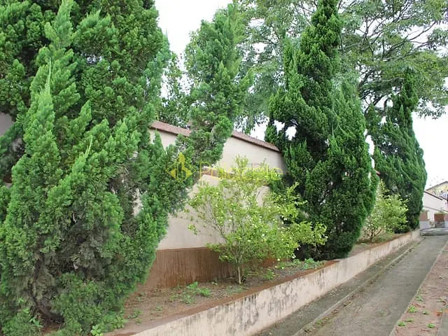 Casa com 1257m² 6 quartos e 2 banheiros, à venda, no bairro Santana em Pindamonhangaba
