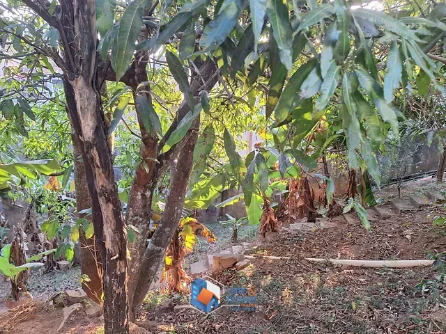 Casa com 435m² 5 quartos e 4 banheiros, à venda, no bairro Jardim Ipê em Itatiba