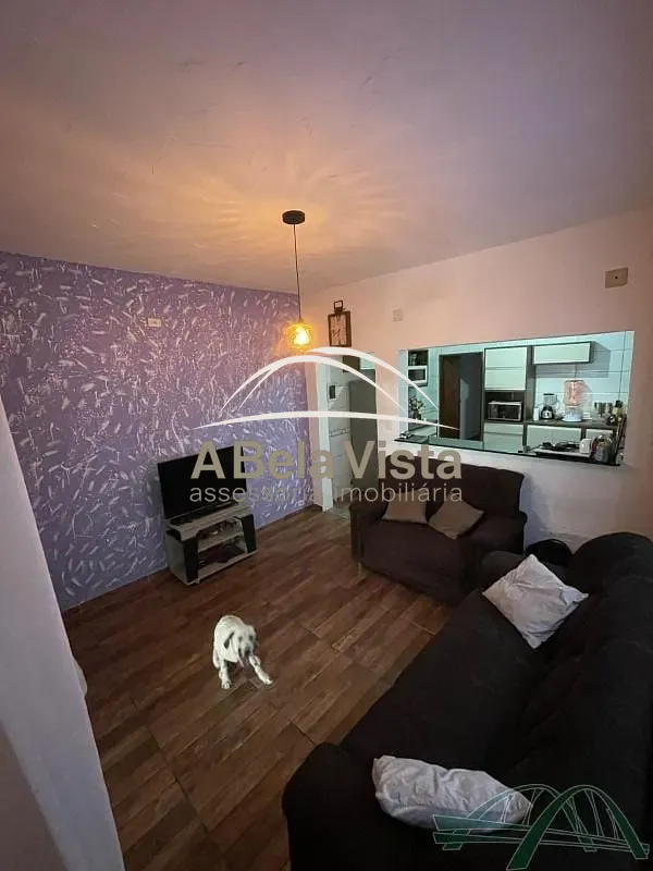 Casa, 9 quartos, 10 m² - Foto 3