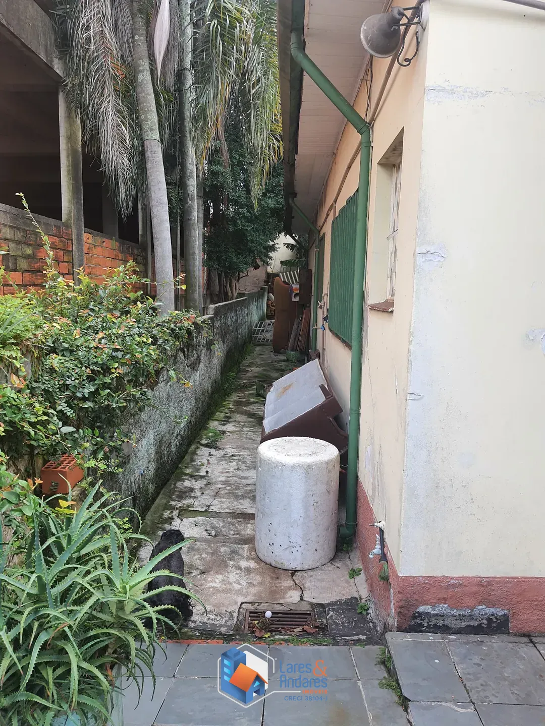 Casa, 3 quartos, 666 m² - Foto 6