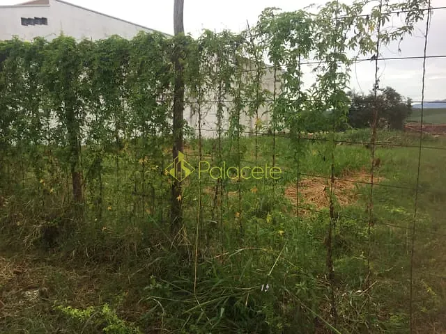 Terreno com 250m², à venda, no bairro Residencial Mombaça em Pindamonhangaba