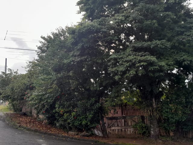 Casa com 307m² 2 quartos e 1 banheiro, à venda, no bairro Jardim Princesa em Pindamonhangaba