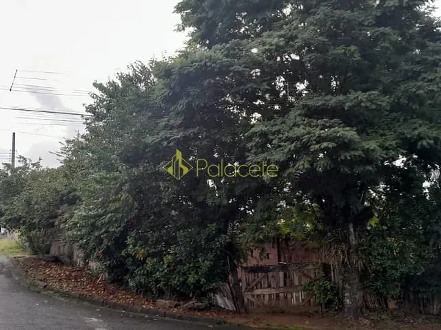 Casa com 307m² 2 quartos e 1 banheiro, à venda, no bairro Jardim Princesa em Pindamonhangaba