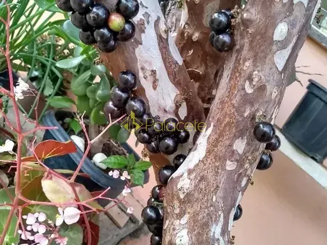 Casa 3 quartos e 2 banheiros, à venda, no bairro Jardim Bela Vista em Taubaté
