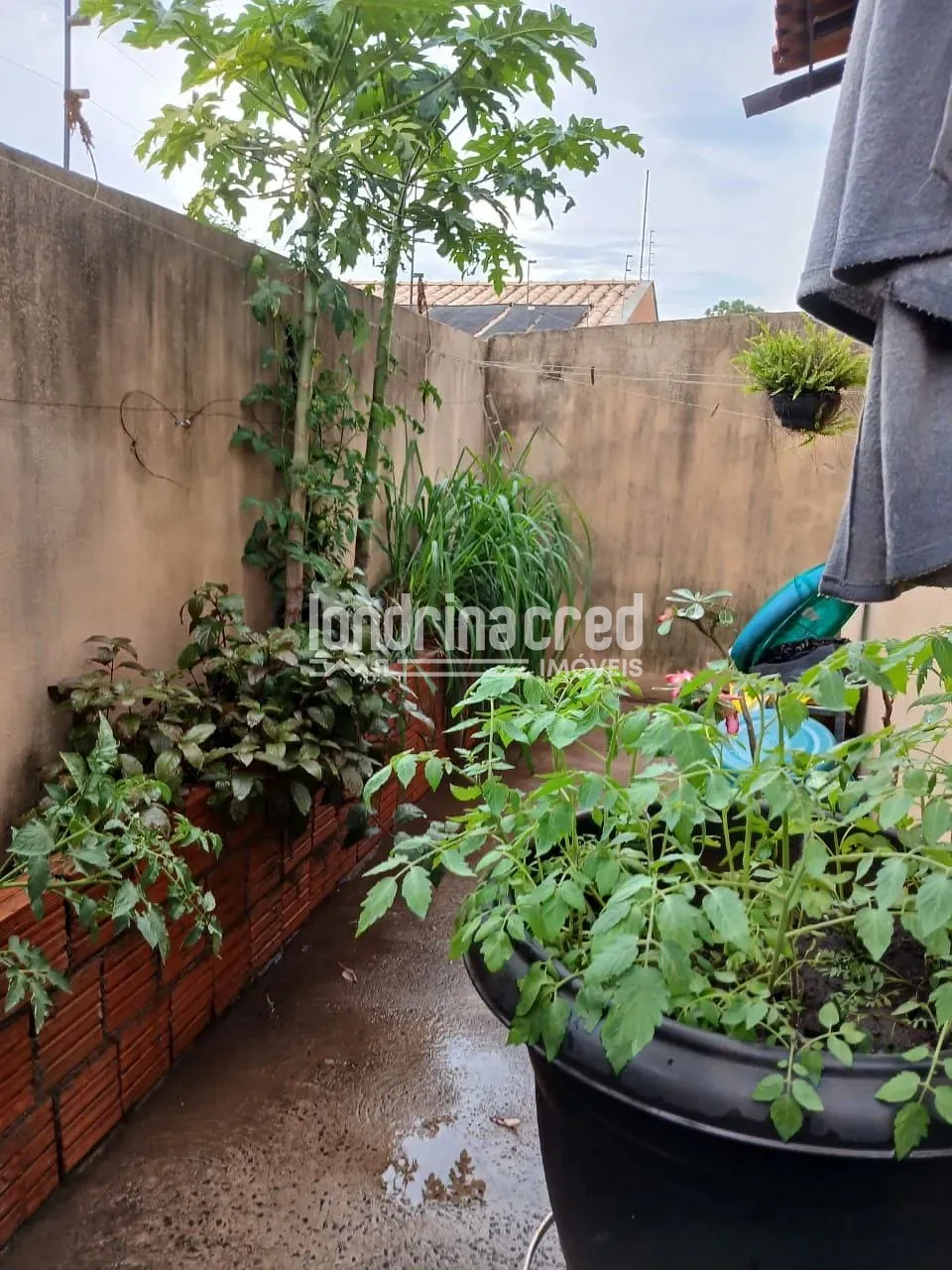 Casa, 3 quartos, 70 m² - Foto 11