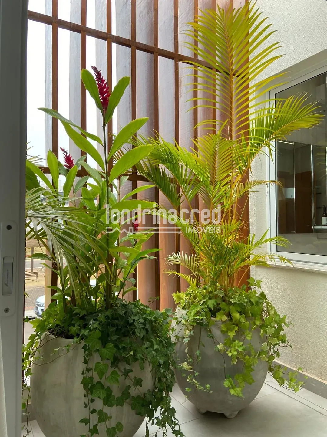 Casa, 4 quartos, 244 m² - Foto 25