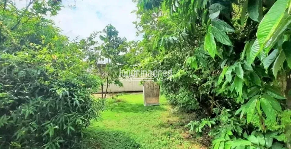 Casa, 2 quartos, 200 m² - Foto 14
