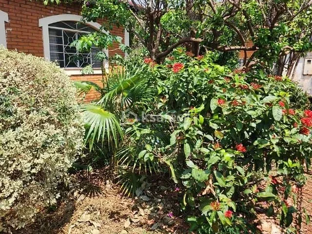 Casa com 456m² 3 quartos e 2 banheiros, à venda, no bairro Jardim América em Campo Grande