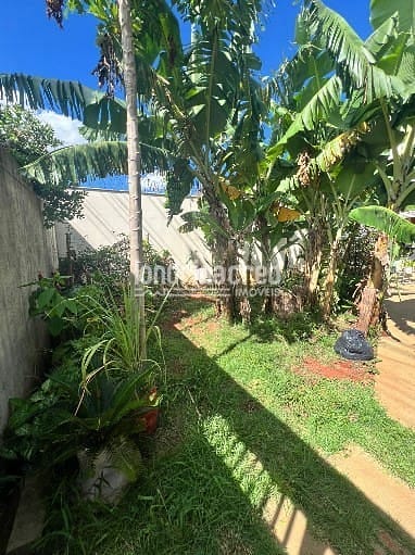 Casa, 5 quartos, 166 m² - Foto 59