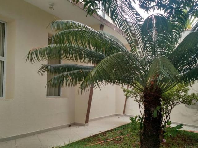 Foto do Casa - Jardim São Paulo - 200m2 de construção - 3 dormitórios, suíte - edícula assobradada - garagem | Ary Proenca Negócios Imobiliários Ltda