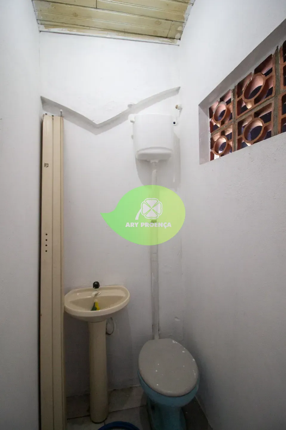 Foto 6