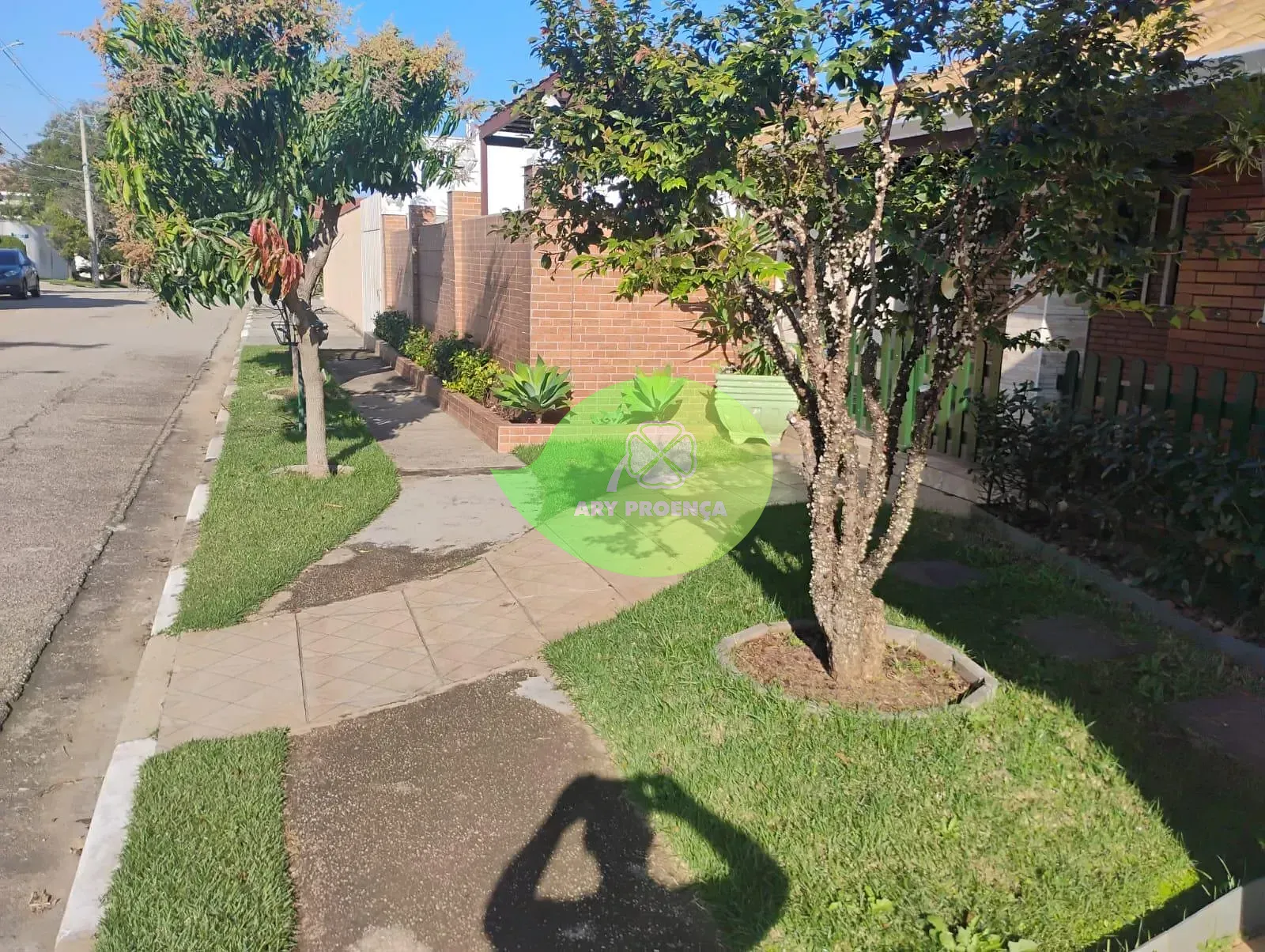 Foto 3