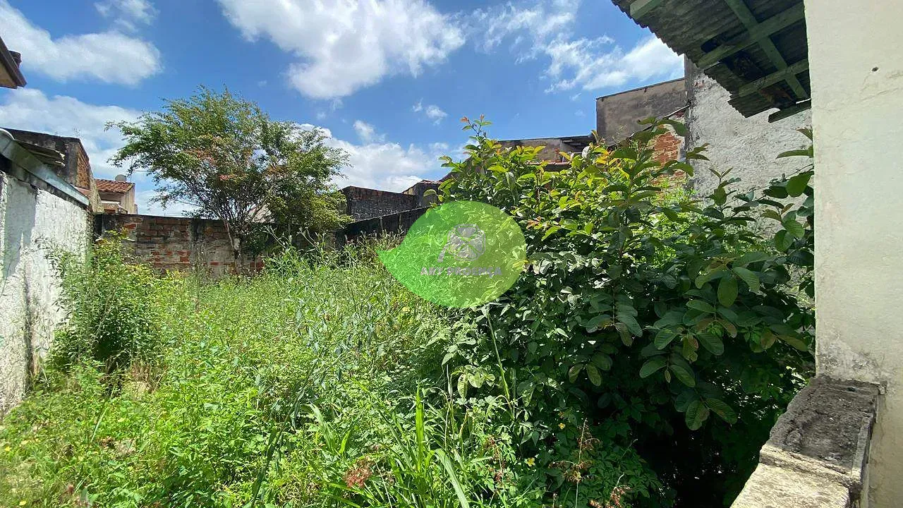 Foto 13