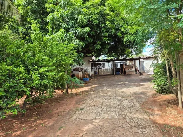 Casa com 600m² 2 quartos e 1 banheiro, à venda, no bairro Vila Carvalho em Campo Grande