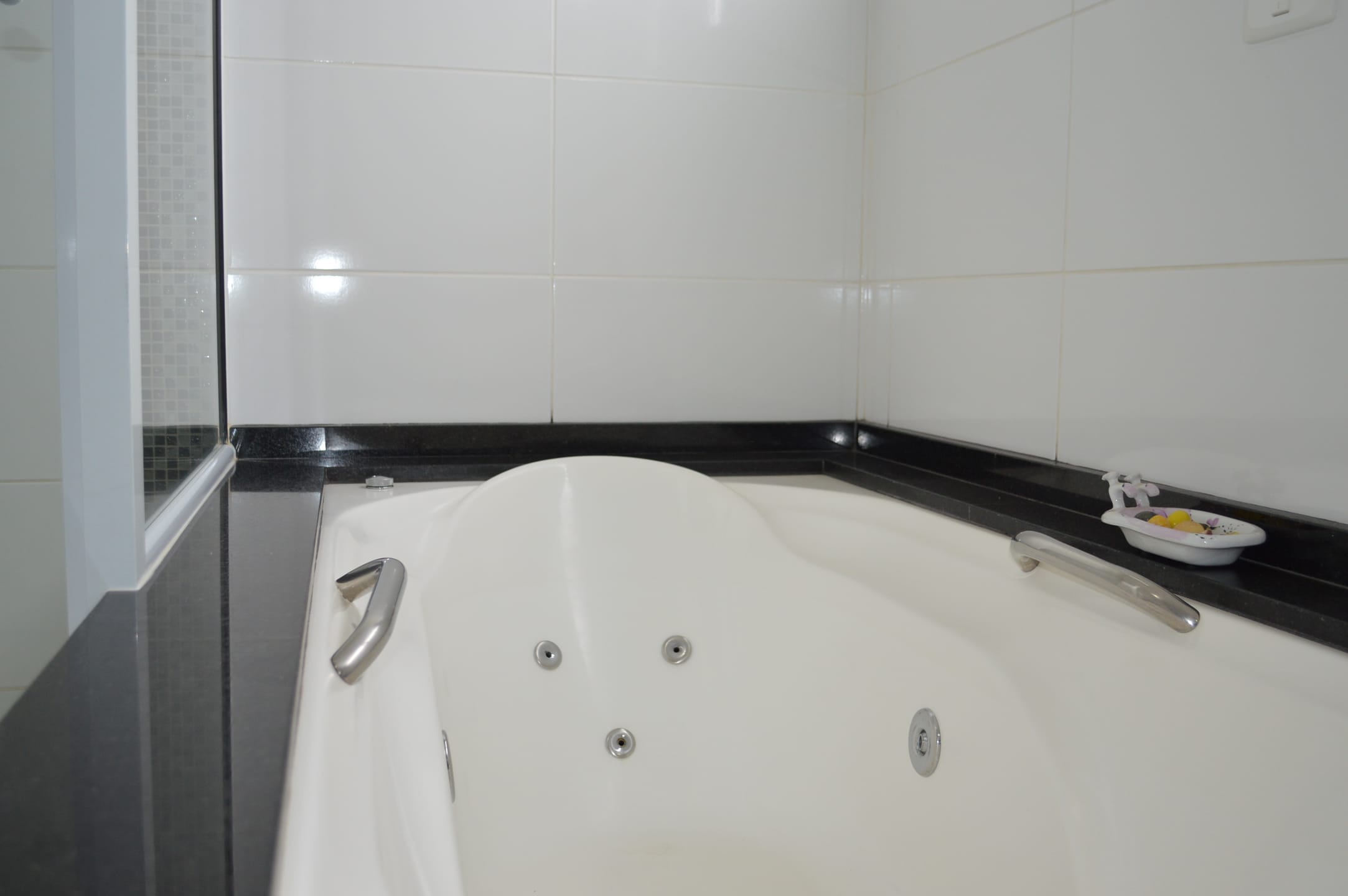 Casa, 4 quartos, 316 m² - Foto 35