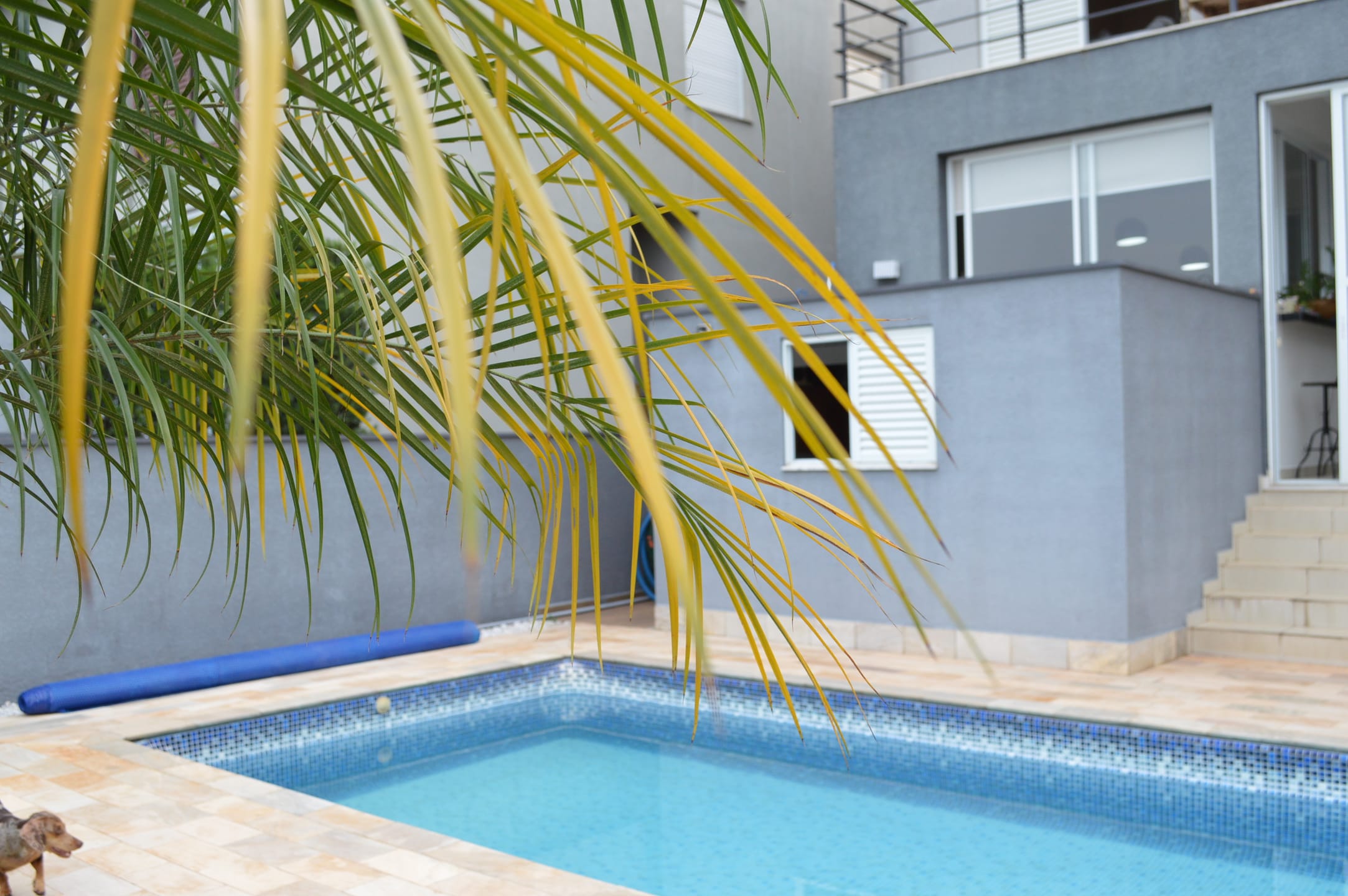 Casa, 4 quartos, 316 m² - Foto 78