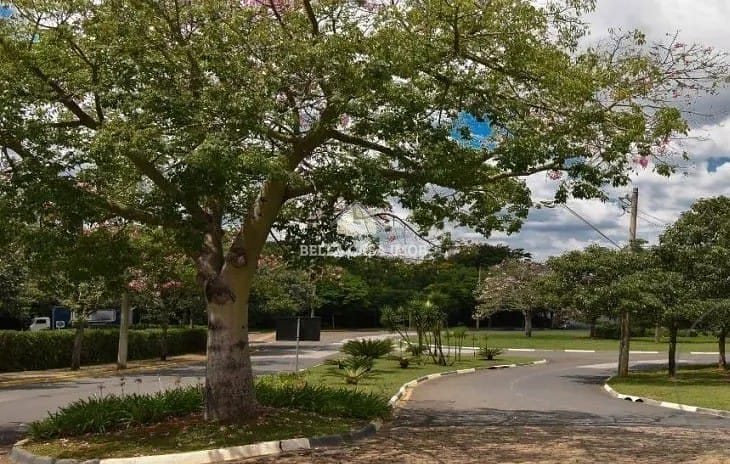 Casa à venda com 4 quartos, 350m² - Foto 50