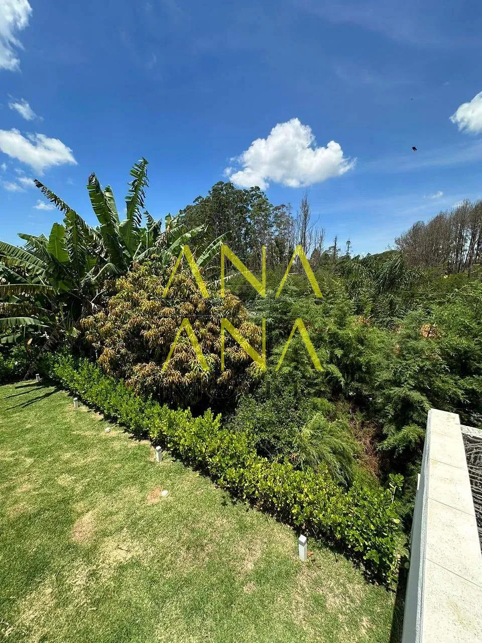 Casa, 5 quartos, 338 m² - Foto 7