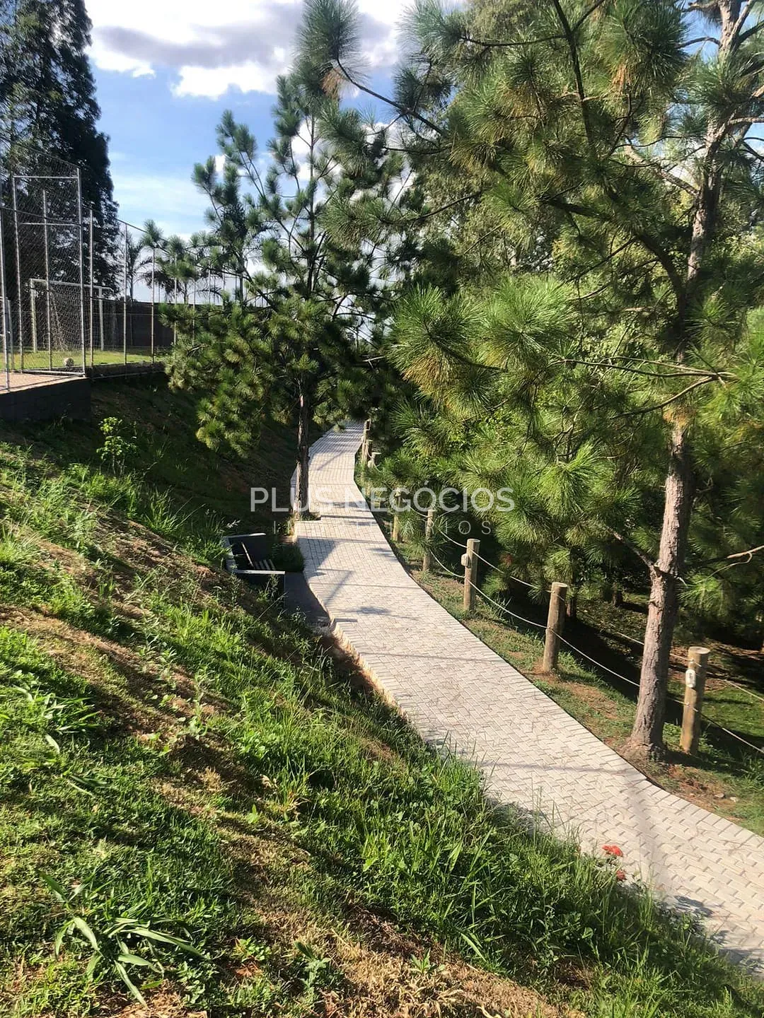 Casa, 3 quartos, 220 m² - Foto 40