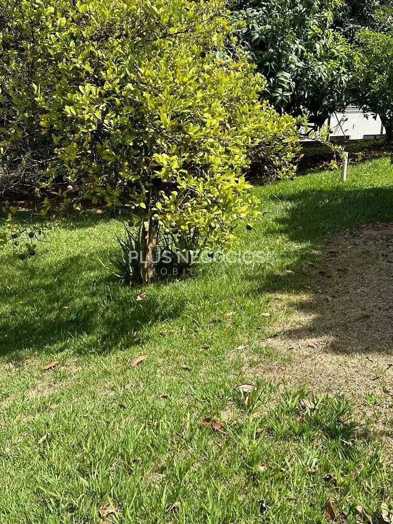 Casa, 3 quartos, 380 m² - Foto 35