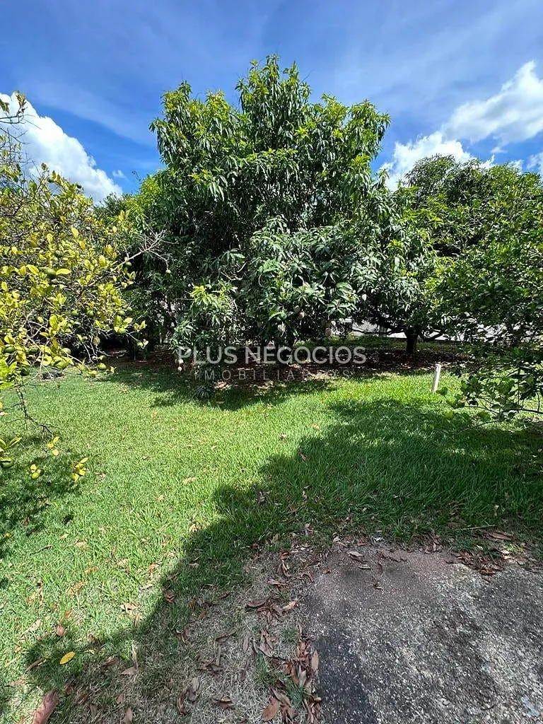Casa, 3 quartos, 380 m² - Foto 37