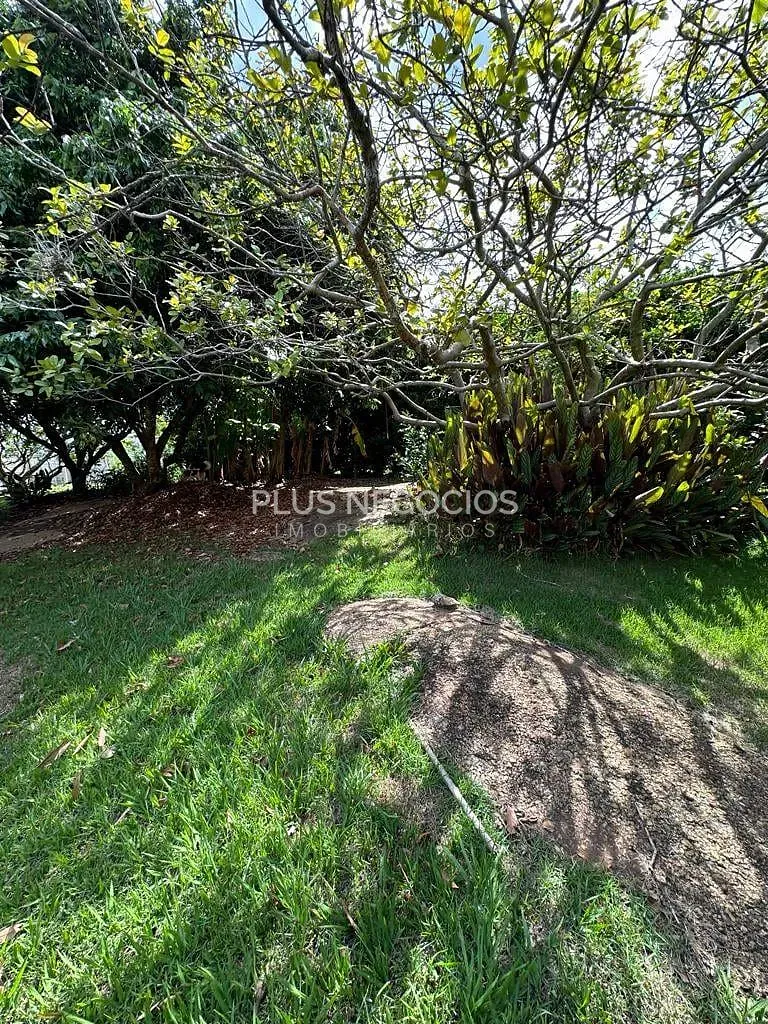 Casa, 3 quartos, 380 m² - Foto 38
