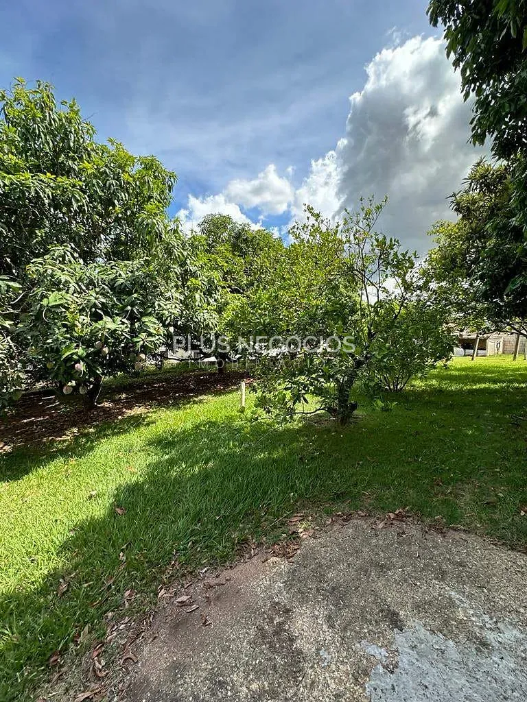 Casa, 3 quartos, 380 m² - Foto 39