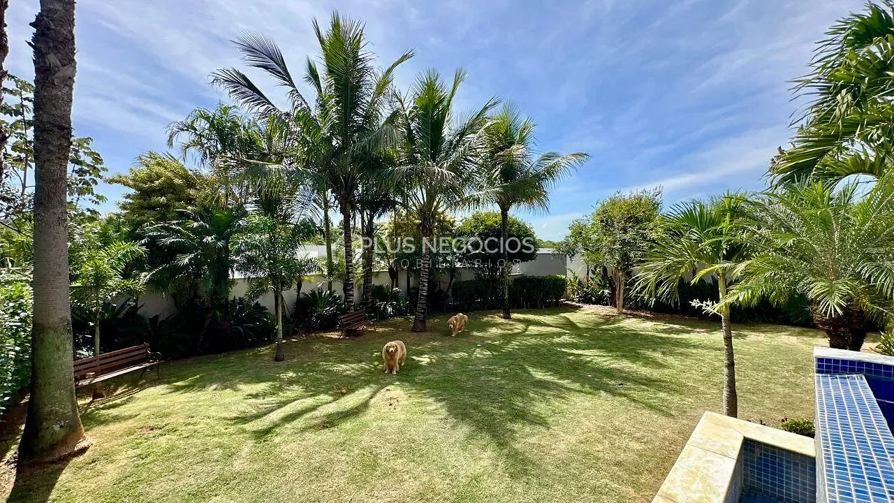 Casa, 4 quartos, 600 m² - Foto 49