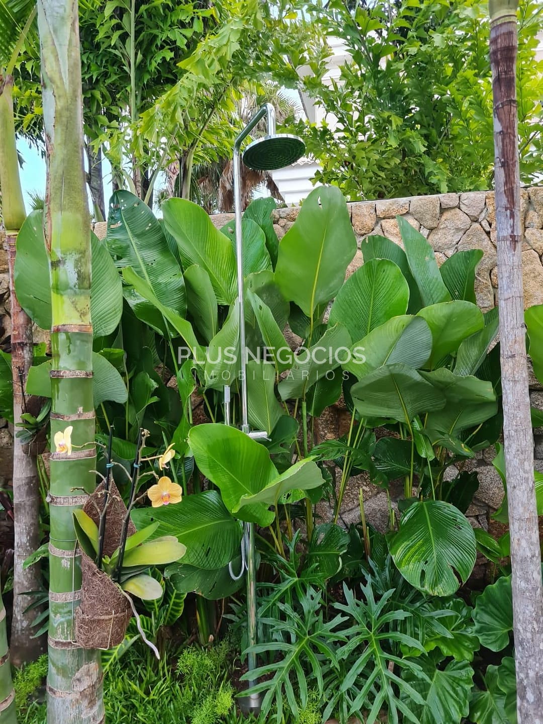 Casa, 4 quartos, 677 m² - Foto 41