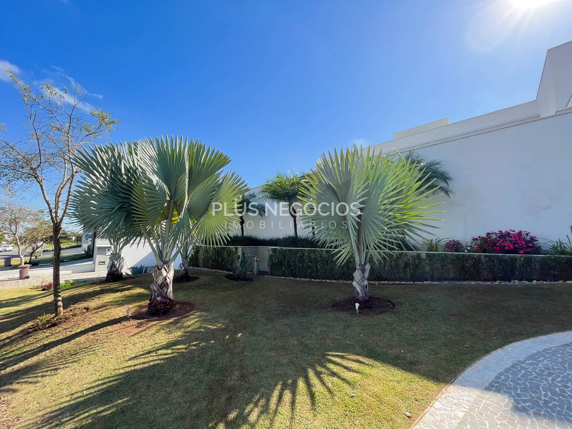 Casa, 4 quartos, 738 m² - Foto 92