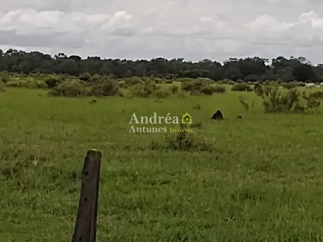 Fazenda com 1418m² 5 quartos e 10 banheiros, à venda, no bairro porto alegre em Porto Alegre do Norte