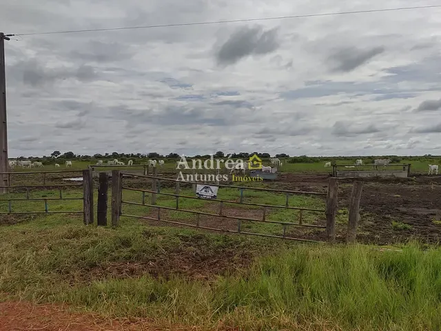Fazenda com 1418m² 5 quartos e 10 banheiros, à venda, no bairro porto alegre em Porto Alegre do Norte