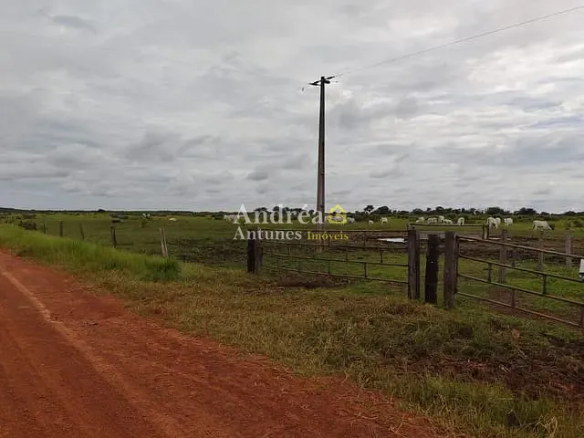 Fazenda com 1418m² 5 quartos e 10 banheiros, à venda, no bairro porto alegre em Porto Alegre do Norte