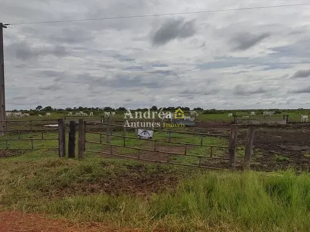 Fazenda com 1418m² 5 quartos e 10 banheiros, à venda, no bairro porto alegre em Porto Alegre do Norte