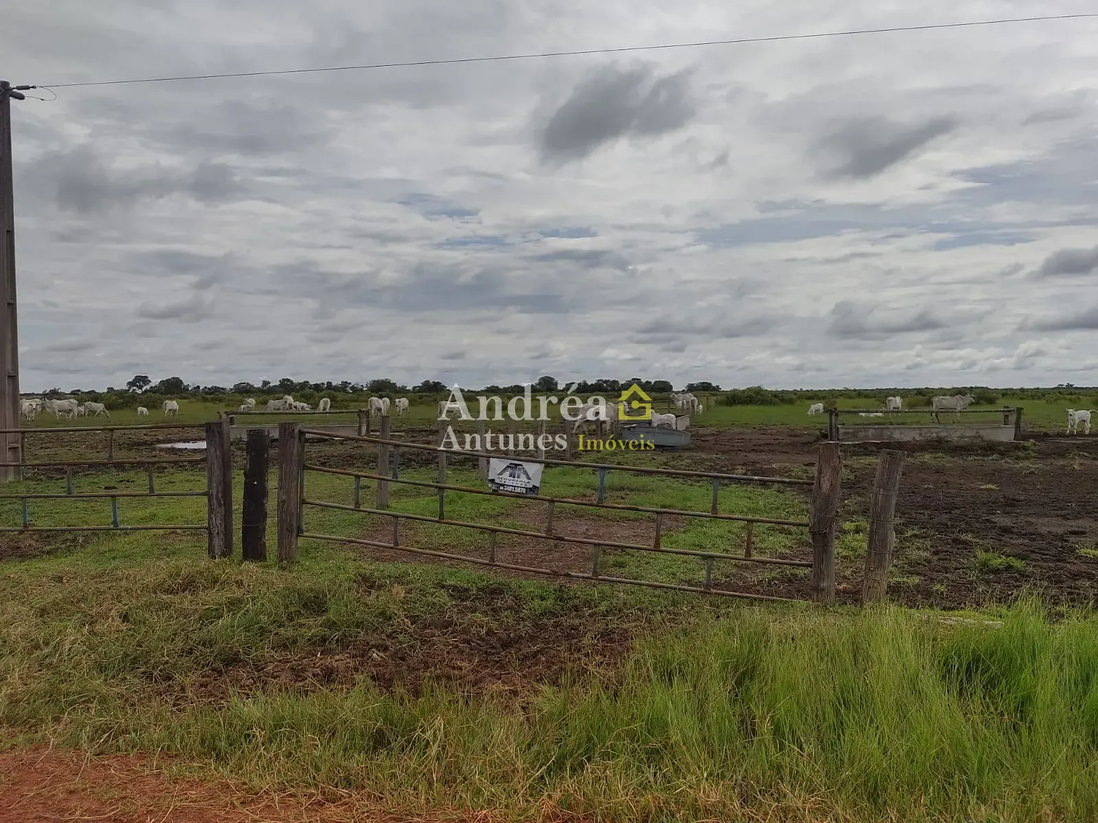 Fazenda, 1418 m² - Foto 1