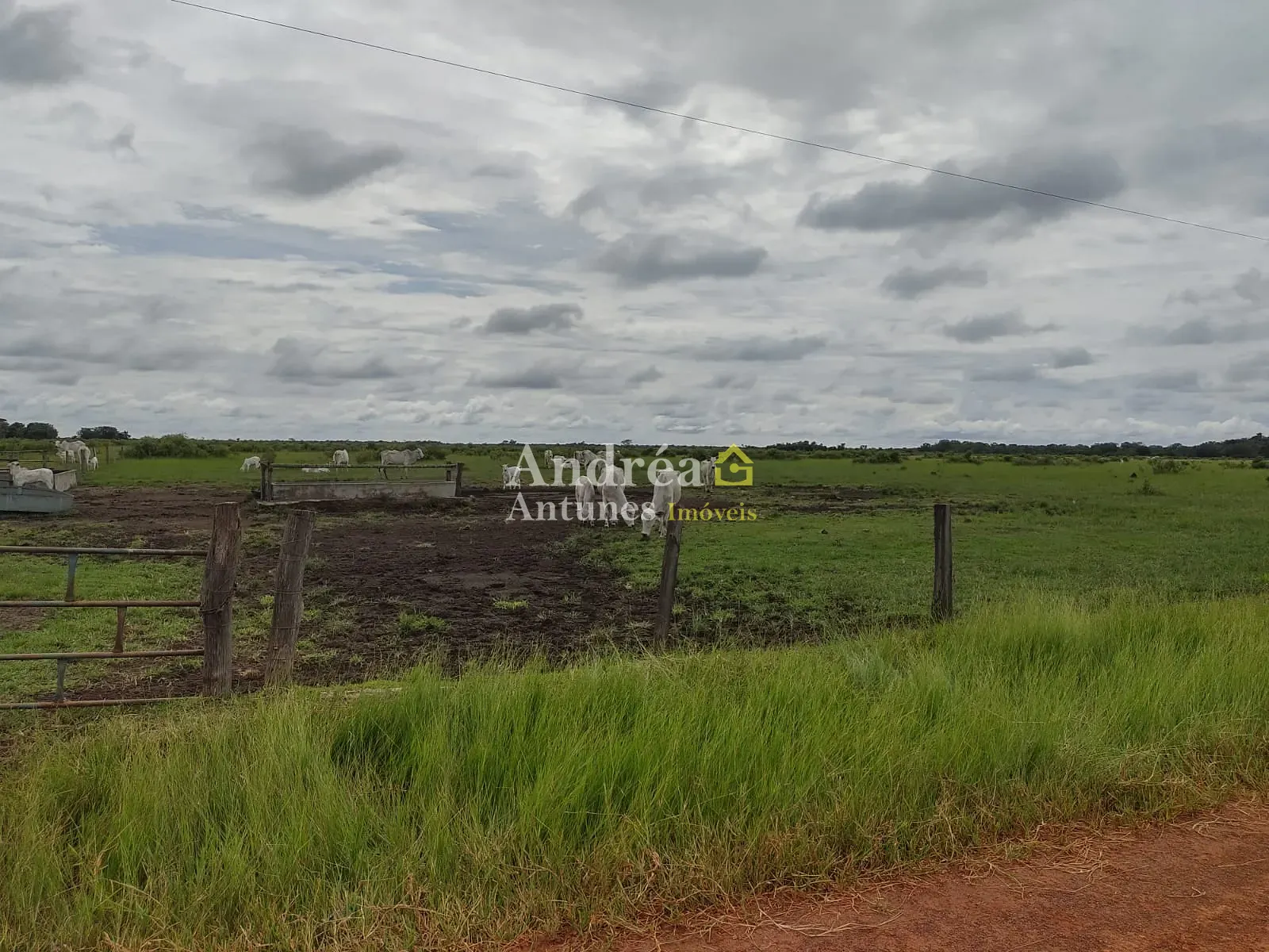 Fazenda, 1418 m² - Foto 7