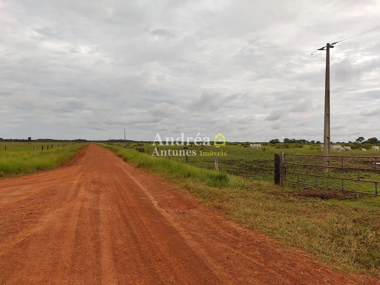 Fazenda, 1418 m² - Foto 8