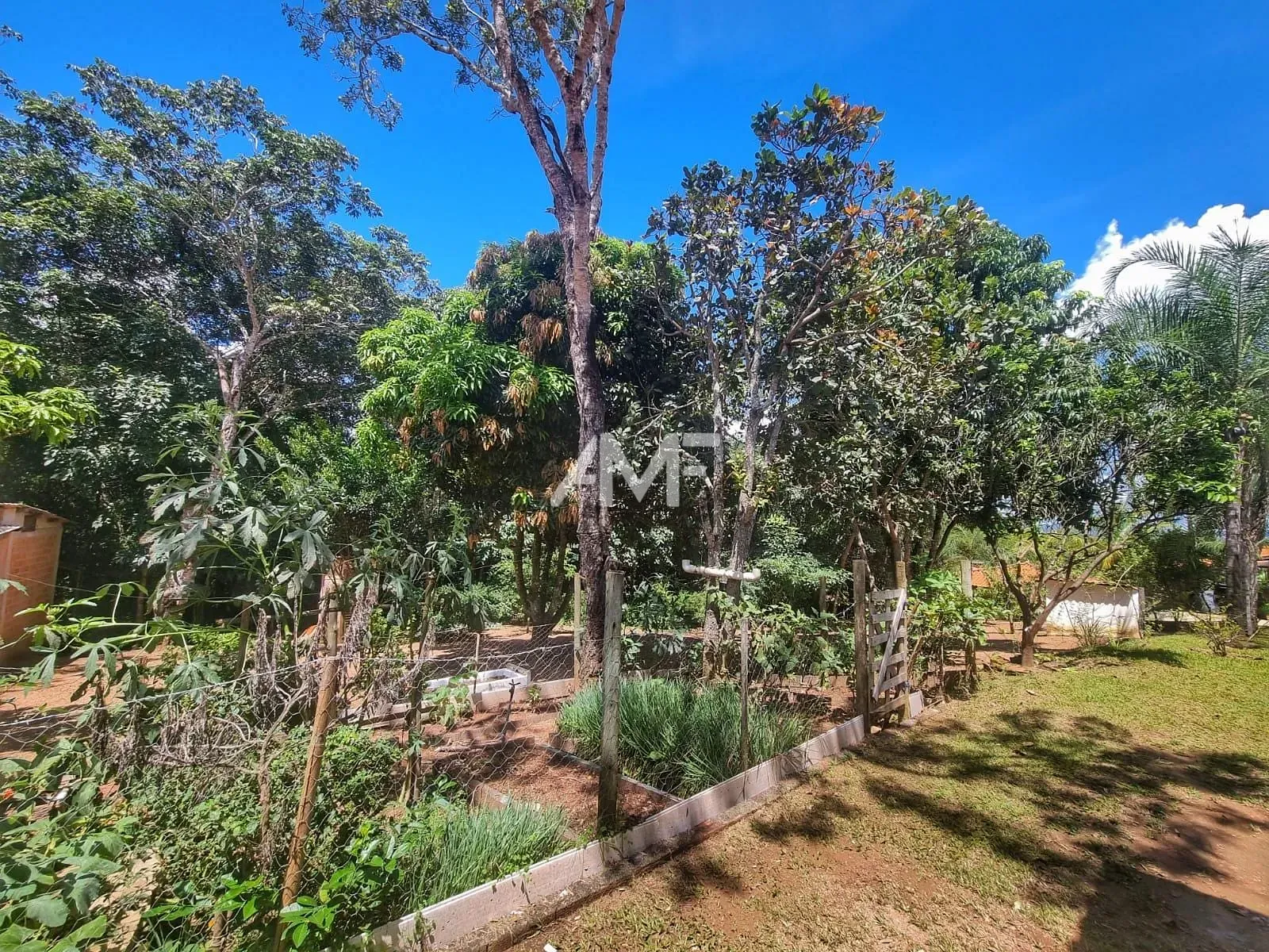 Chácara, 4 quartos, 2 hectares - Foto 40